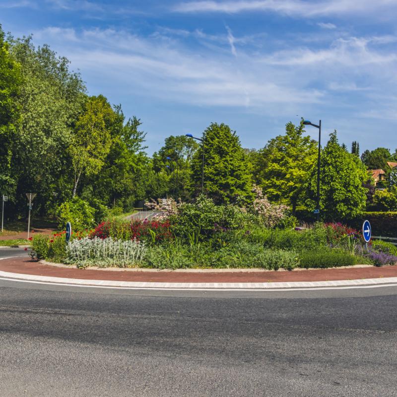  L'Avenue des Cygnes